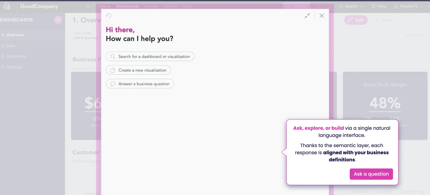 AI-Assisted Analytics